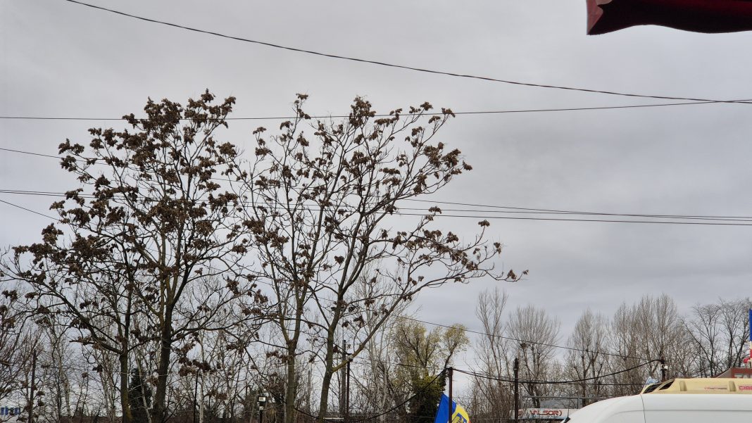 Vremea azi în județul Dâmbovița: Zi mohorâtă, cu ploaie și temperaturi foarte reci