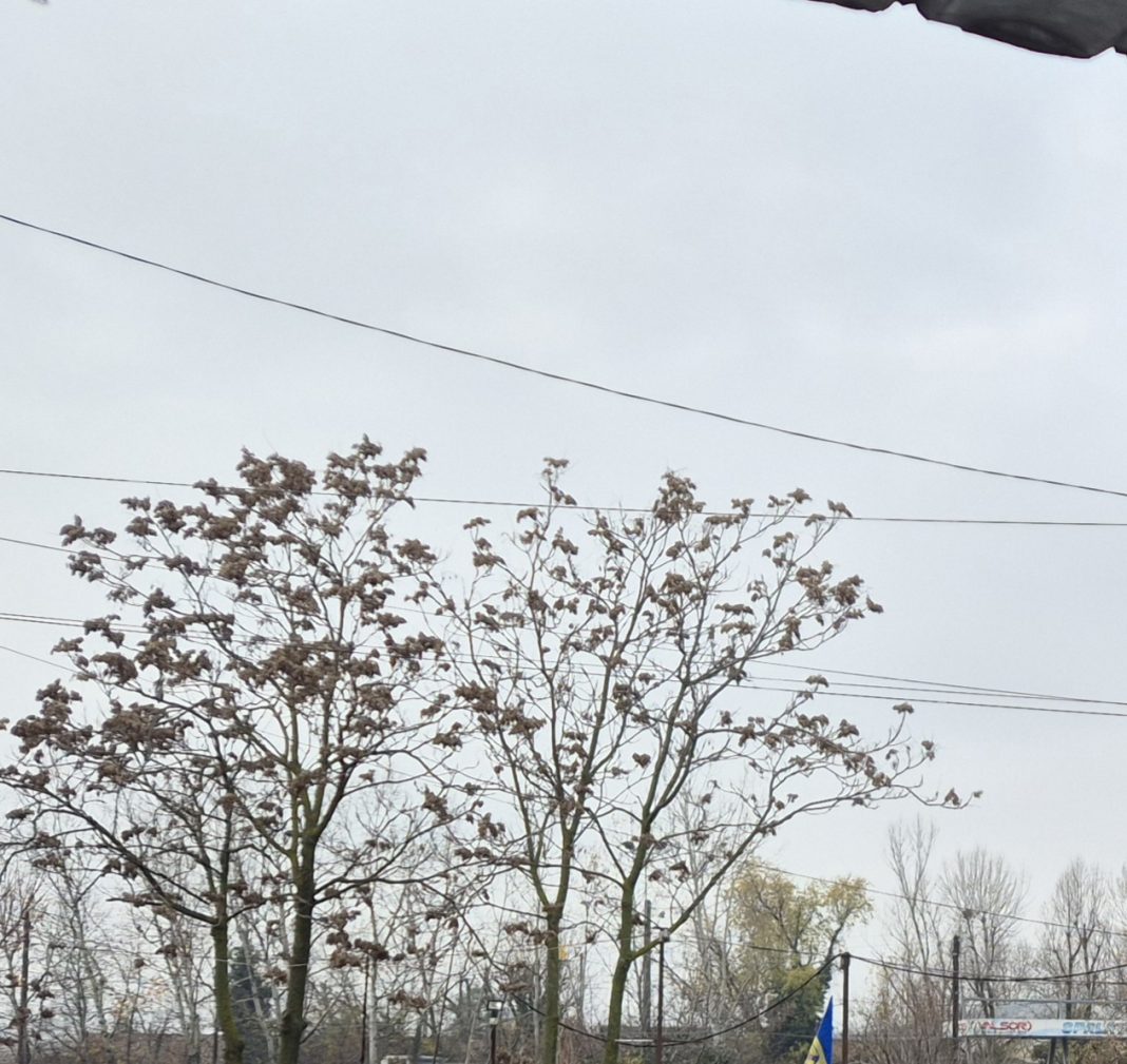 Vreme foarte rece și mohorâtă, astăzi în Dâmbovița