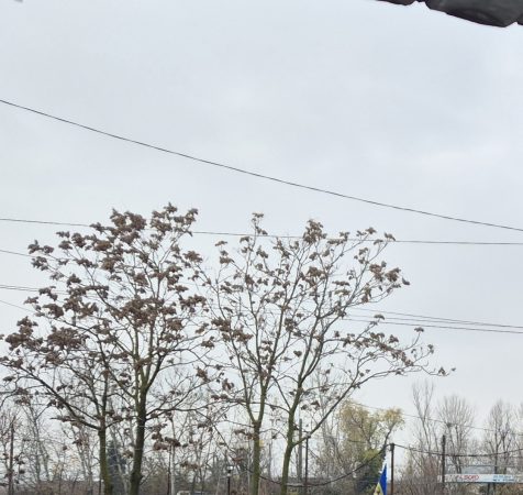 Vreme foarte rece și mohorâtă, astăzi în Dâmbovița Vreme foarte rece și mohorâtă, astăzi în Dâmbovița