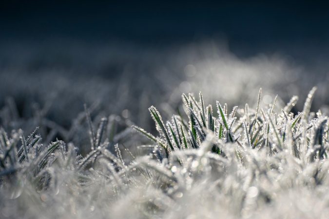 Alertă meteo în județul Dâmbovița până pe 3 ianuarie: VÂNT PUTERNIC, GER, POLEI și PRECIPITAȚII MIXTE Alertă meteo în județul Dâmbovița până pe 3 ianuarie: VÂNT PUTERNIC, GER, POLEI și PRECIPITAȚII MIXTE