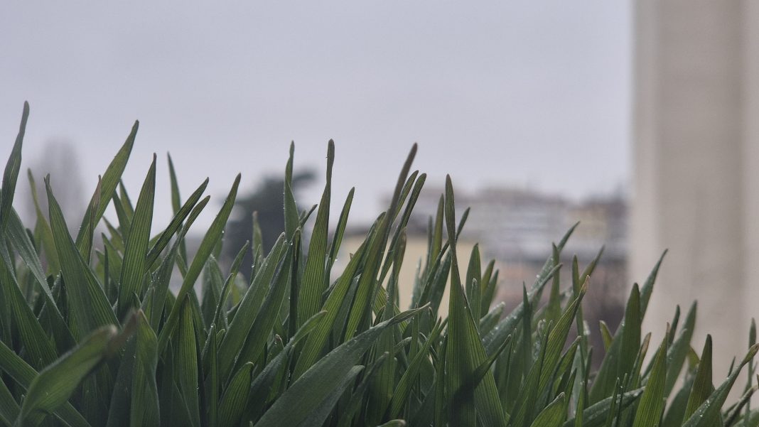 VREMEA ASTĂZI ÎN TÂRGOVIȘTE: CER PREDOMINANT ÎNNORAT ȘI TEMPERATURI FOARTE JOASE