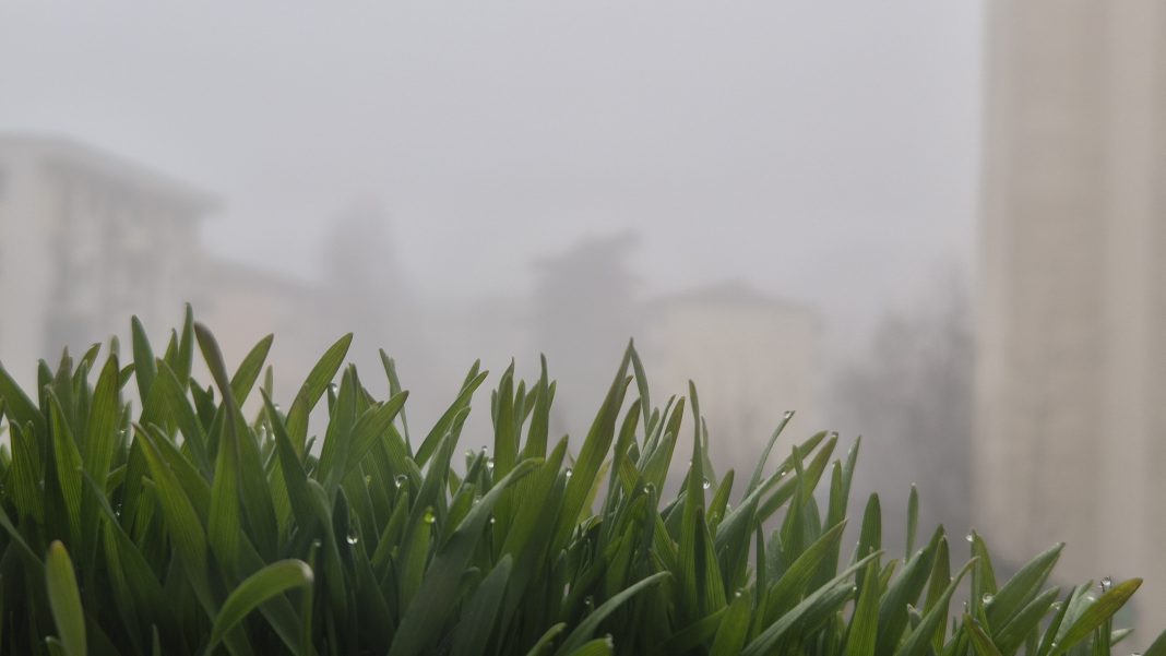 Ceață,  vânt,  lapoviță, ninsori,  viscol și ger în județul Dâmbovița