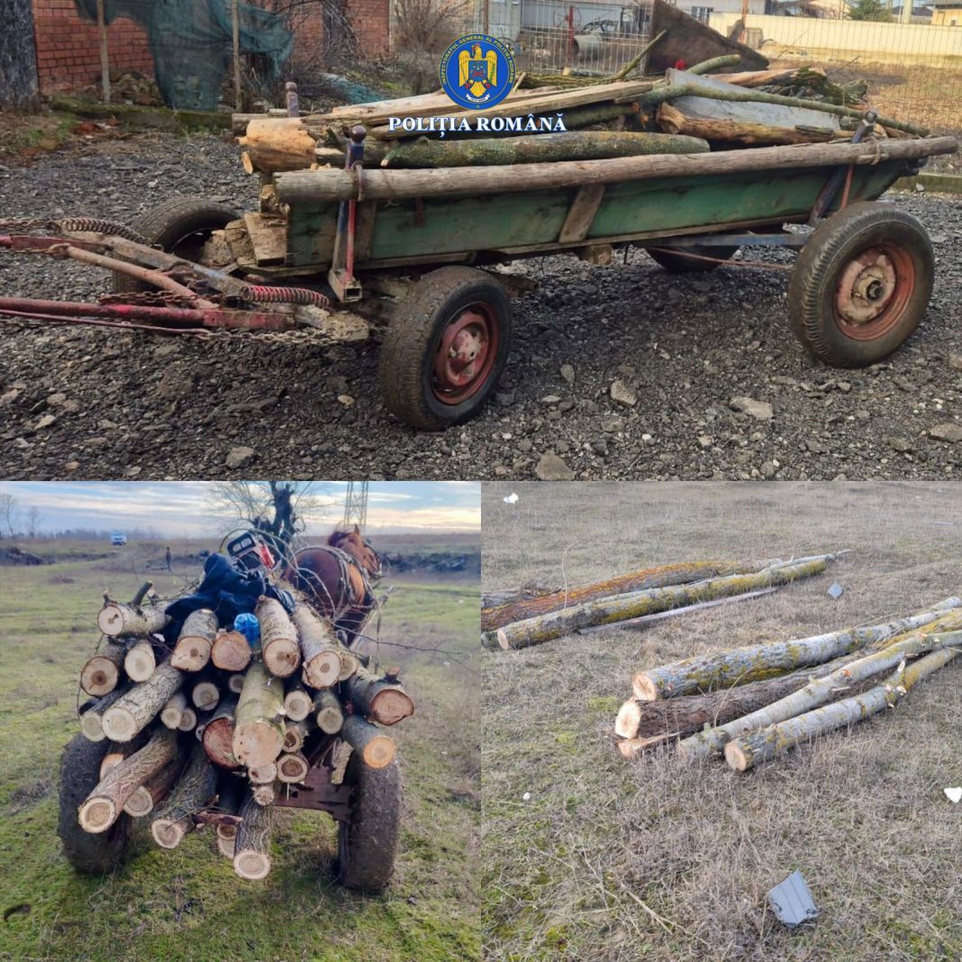 Hoții dau atacul în pădurile dâmbovițene 