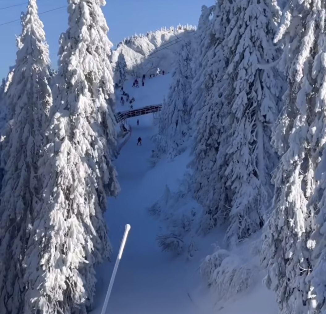 Peisaje de poveste în Poiana Brașov, iarnă ca-n basme 