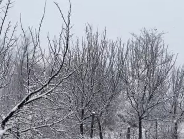 AVERTIZARE METEO: Ninsori abundente, viscol și ger în sudul României , de astăzi  după-amiază