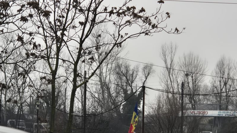 Avertizare meteo pentru 6 februarie 2026: Vreme instabilă, precipitații mixte, ceață și vânt Avertizare meteo pentru 6 februarie 2026: Vreme instabilă, precipitații mixte, ceață și vânt