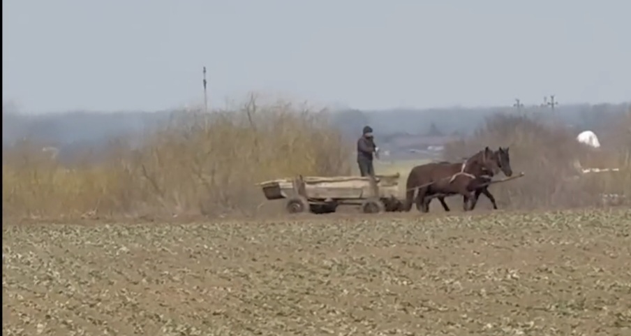 Cetățean prins aruncând gunoi pe câmp în Răcari ,Primăria spune NU poluării!