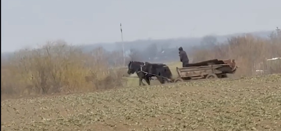 Cetățean prins aruncând gunoi pe câmp în Răcari ,Primăria spune NU poluării!