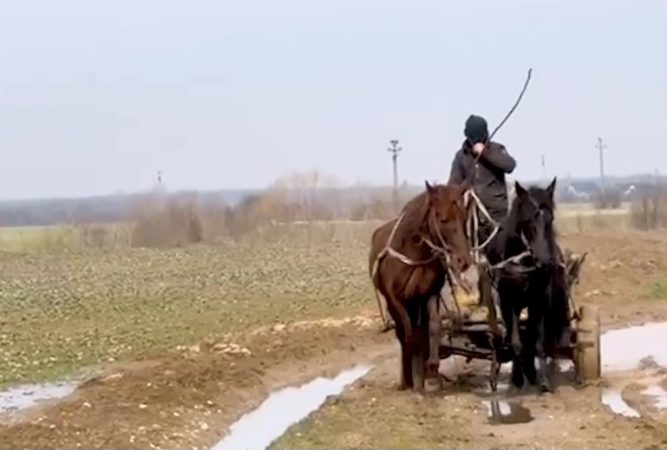 Cetățean prins aruncând gunoi pe câmp în Răcari, Primăria spune NU poluării! Cetățean prins aruncând gunoi pe câmp în Răcari ,Primăria spune NU poluării!