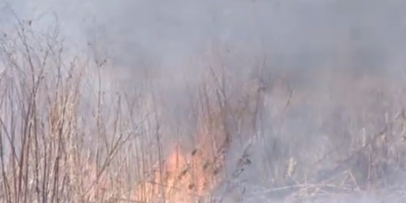 ISU Dâmbovița: Mare atenție la incendiile de vegetație în această perioadă! ISU Dâmbovița: Mare atenție la incendiile de vegetație în această perioadă!