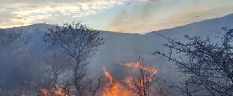 Incendiile de vegetație uscată continuă să facă pagube în județul Dâmbovița.