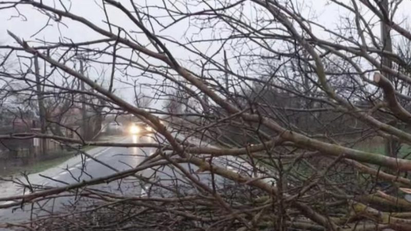 Județul Dâmbovița, sub atenționare meteorologică pentru intensificări ale vântului Județul Dâmbovița, sub atenționare meteorologică pentru intensificări ale vântului