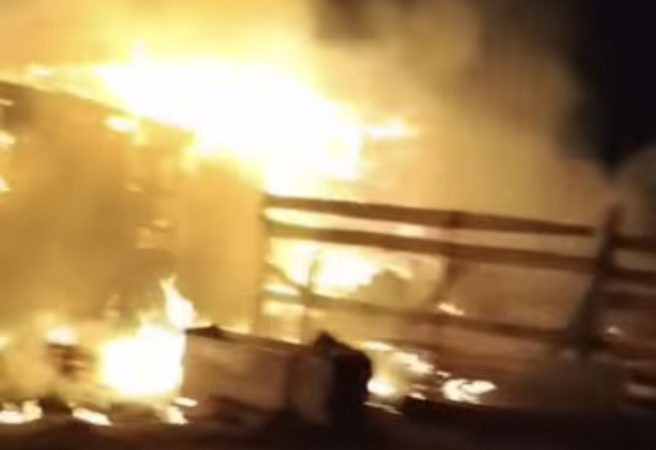 Tragedie în comuna Ulmi: 49 de animale pierdute într-un incendiu la Viișoara 