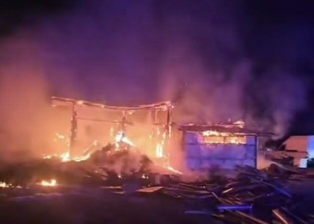 Tragedie în comuna Ulmi: 49 de animale pierdute într-un incendiu la Viișoara 